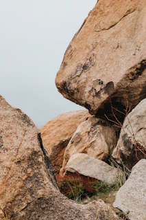 Large decorative boulders arranged along a driveway edge