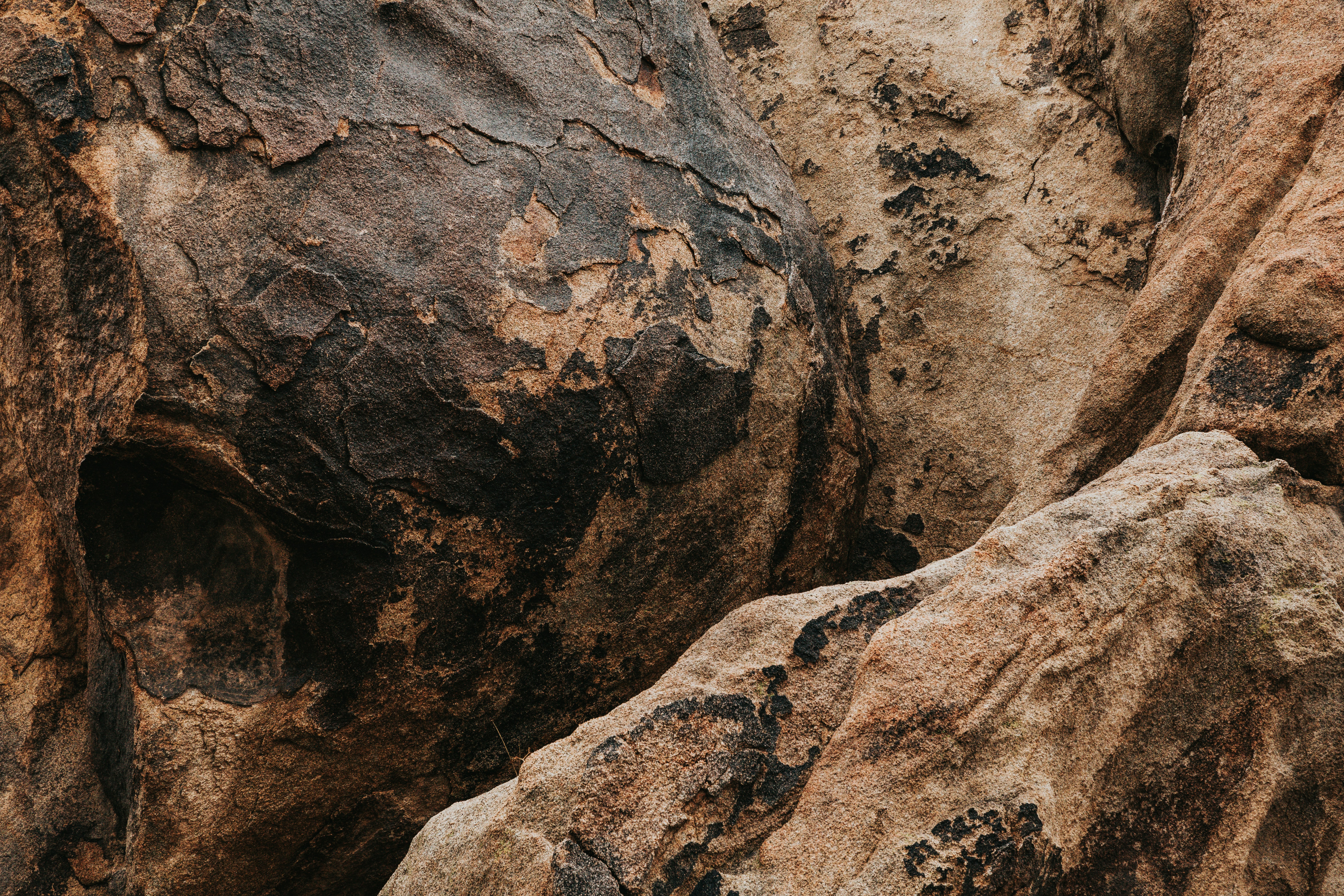 Photo by nate_dumlao