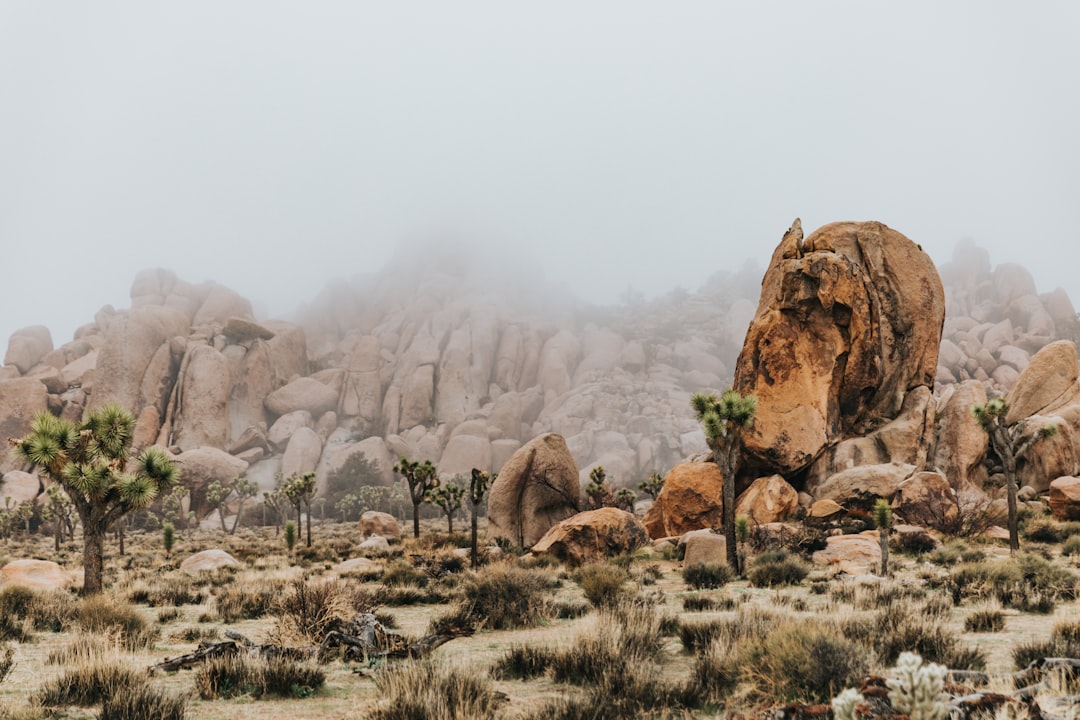 brown rock formation during daytime