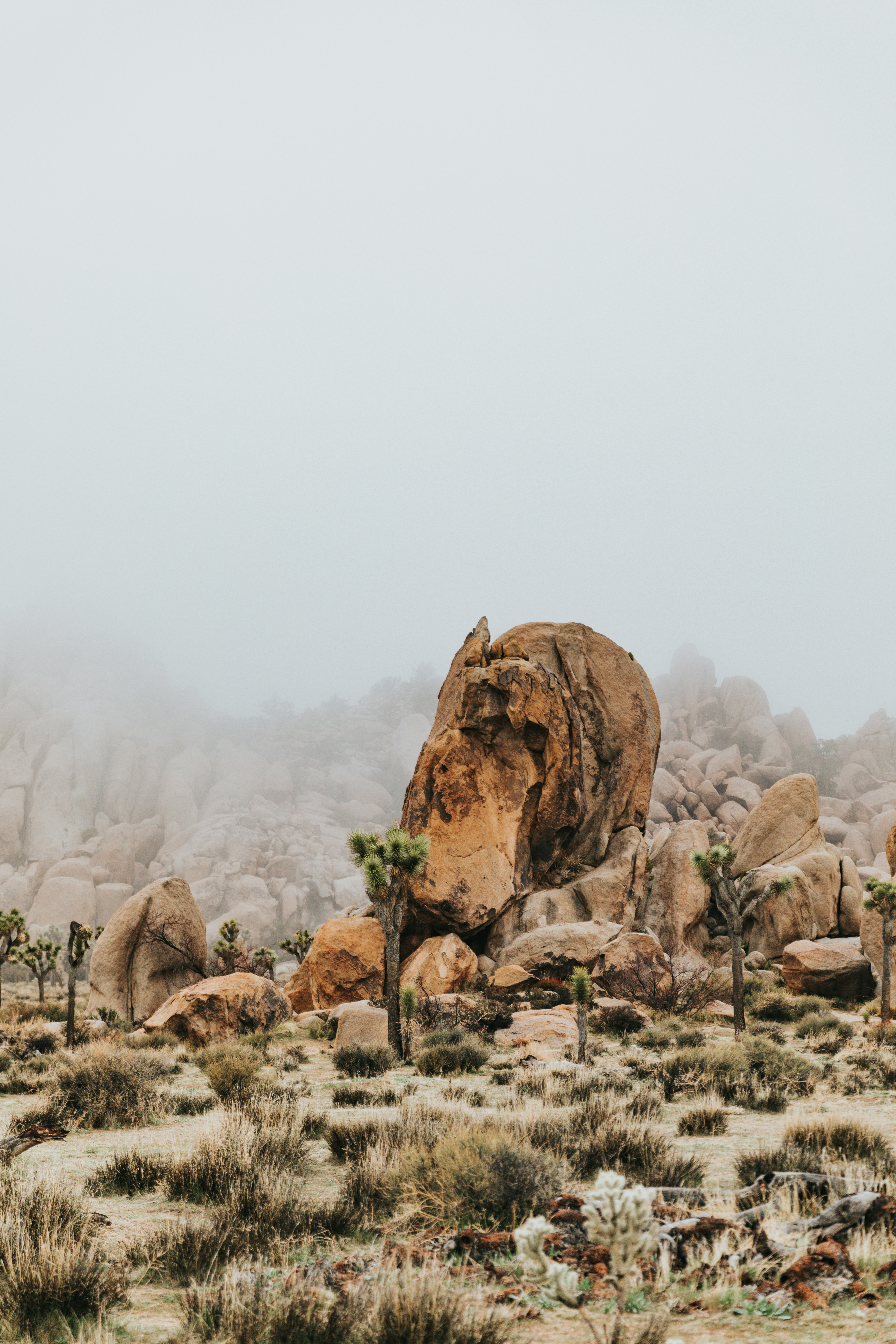 Photo by nate_dumlao