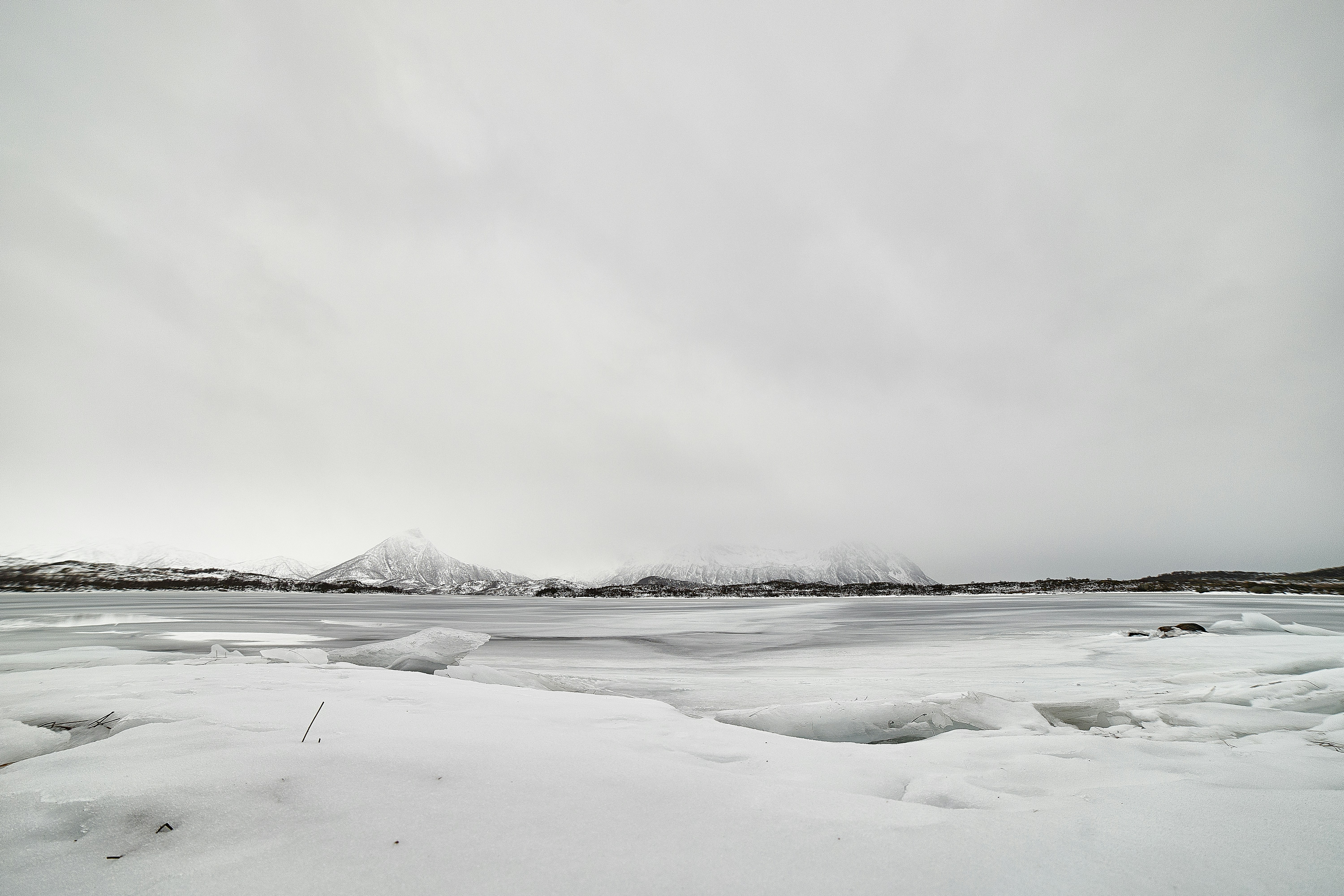 Photo by wolfgang_hasselmann