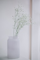 A minimalist still life featuring delicate flowers in a clear glass vase on a white surface.
