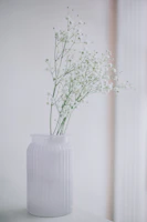 Minimalist vase holding a simple bouquet of white blooms and leafy stems against a warm white background.
