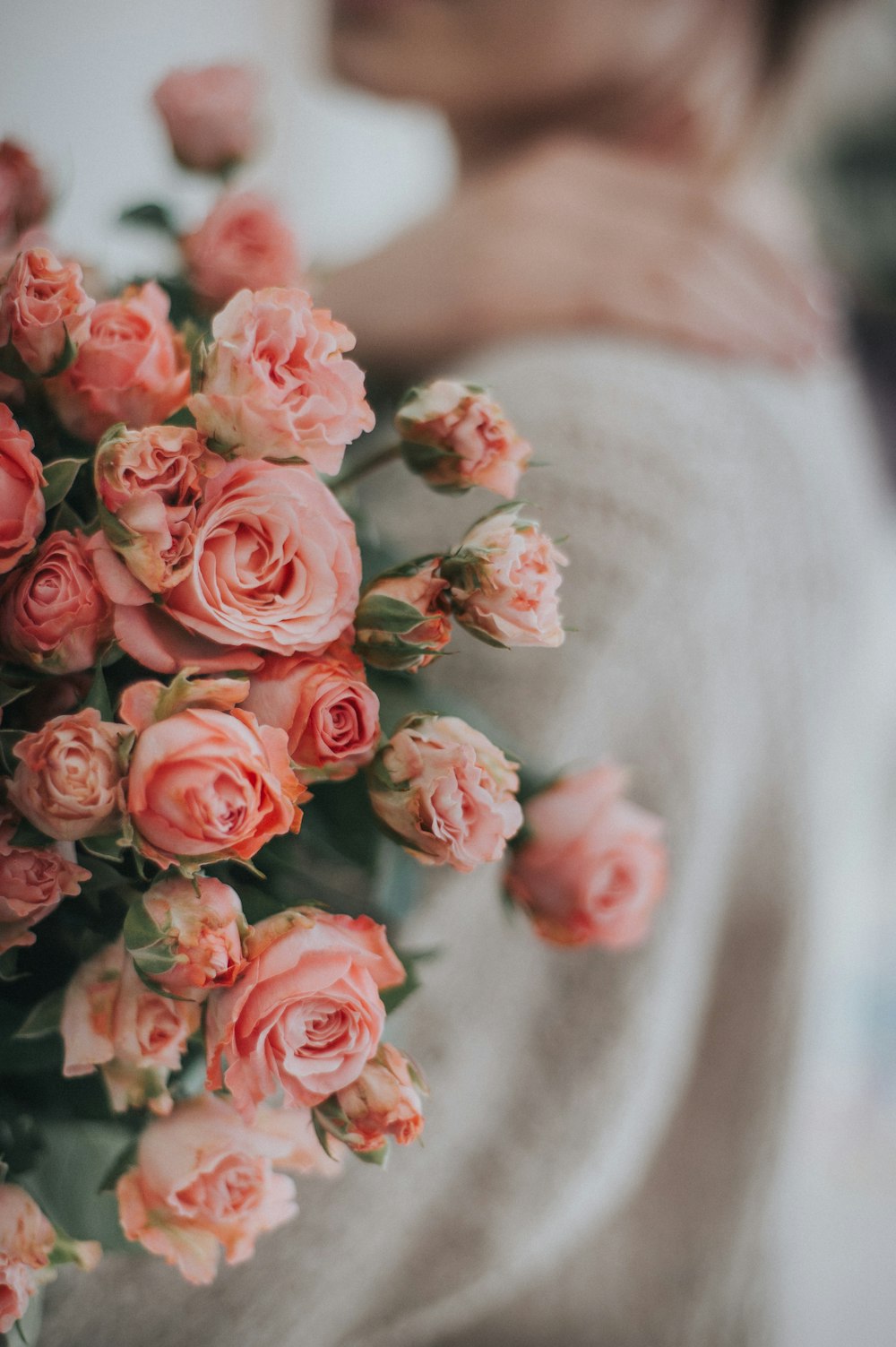 pink roses on white textile