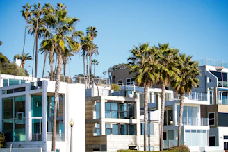 a row of houses with palm trees in front of them