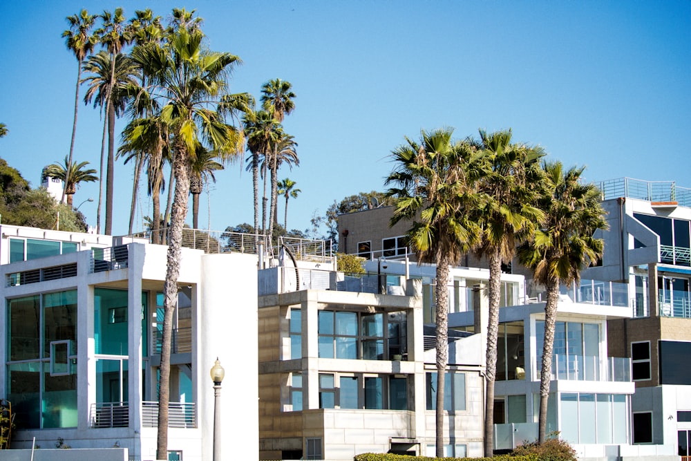 a row of houses with palm trees in front of them