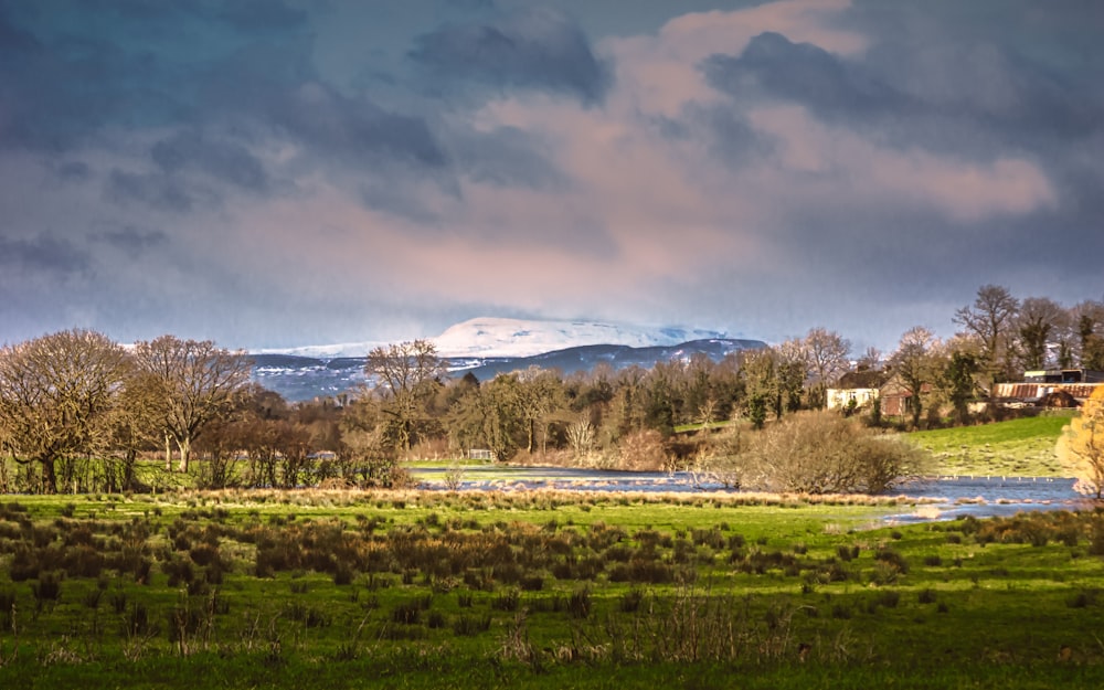 campo de hierba verde bajo el cielo nublado durante el día