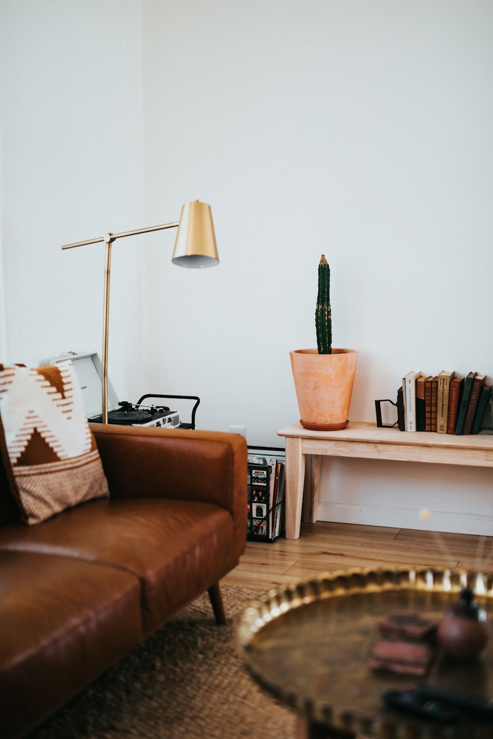 green cactus plant on brown pot beside brown leather armchair