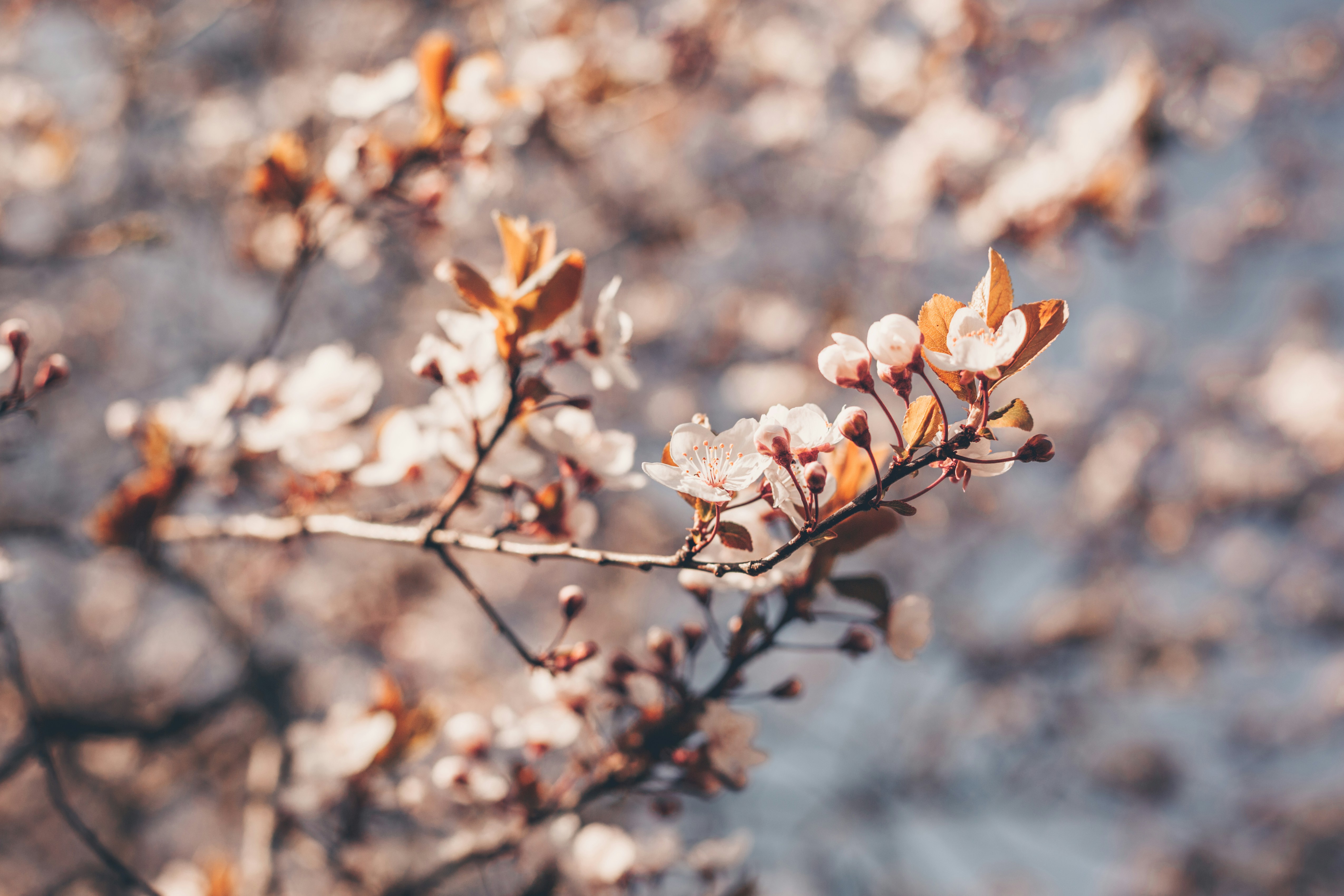 Photo by martafilipczyk