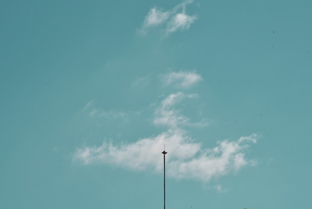 Schwarze Straßenlaterne unter blauem Himmel tagsüber