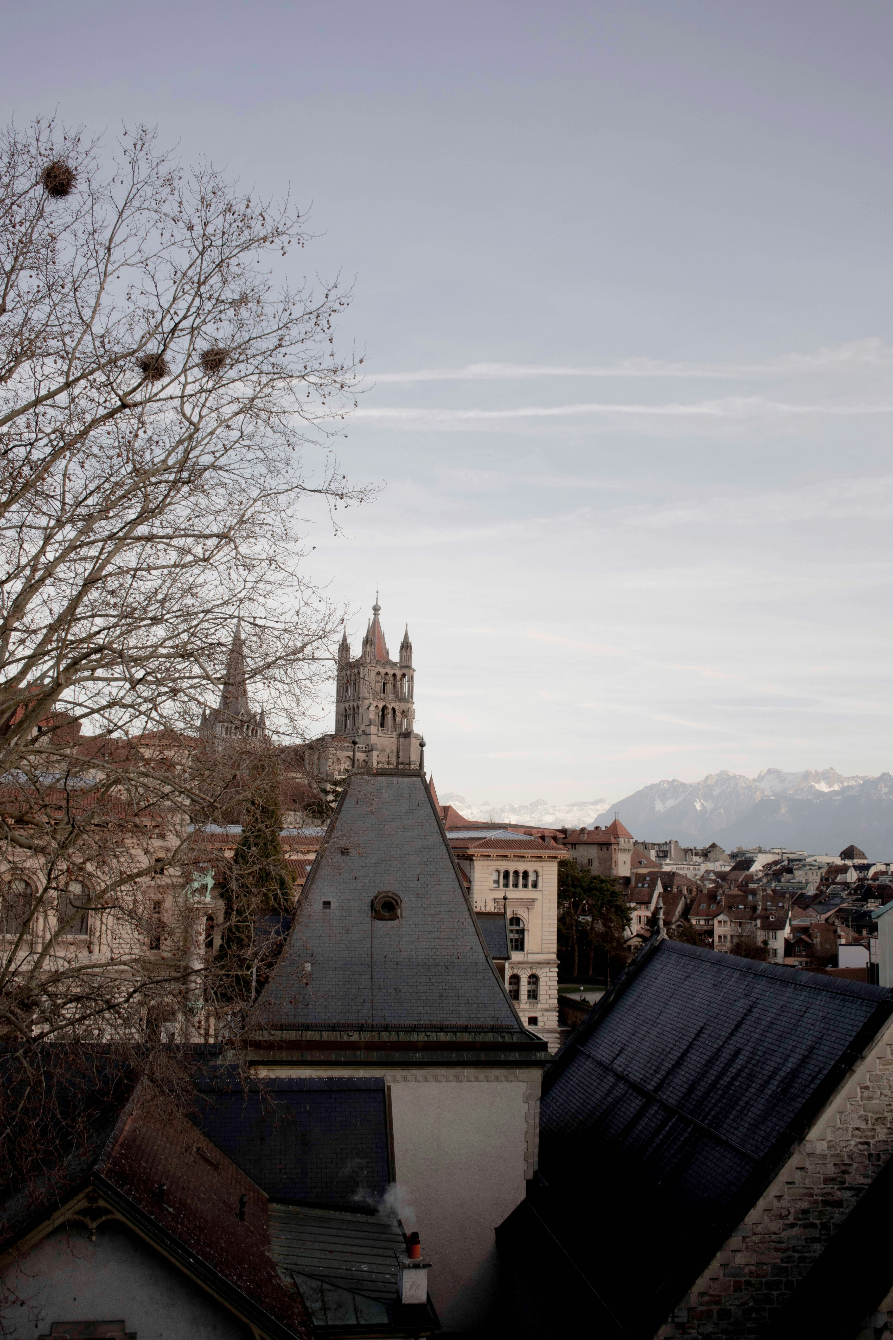 A beautiful view from the city, cathedral and Swiss alps from my balcony!