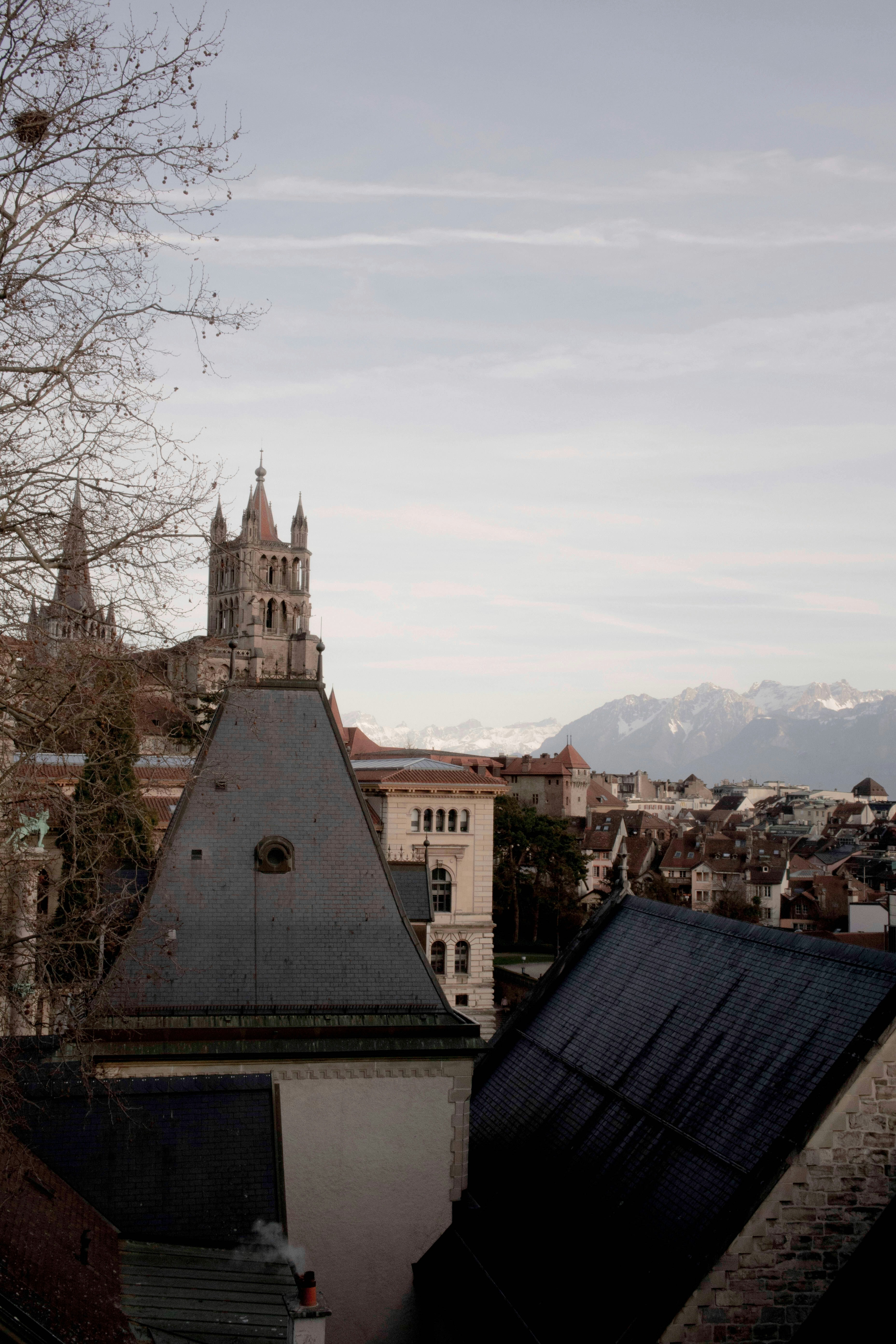 Photo by studio_drom