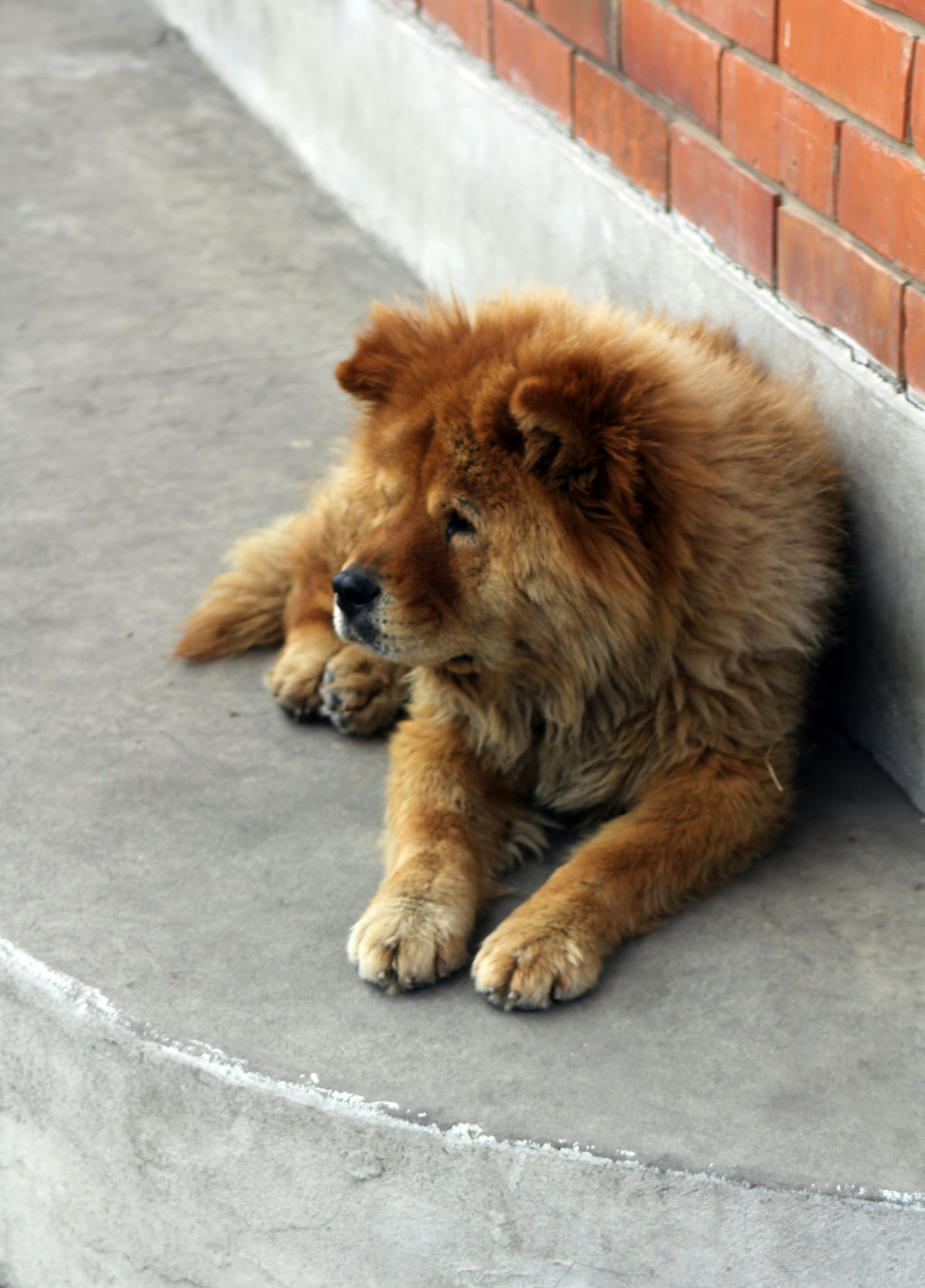 Photo by hugomanito