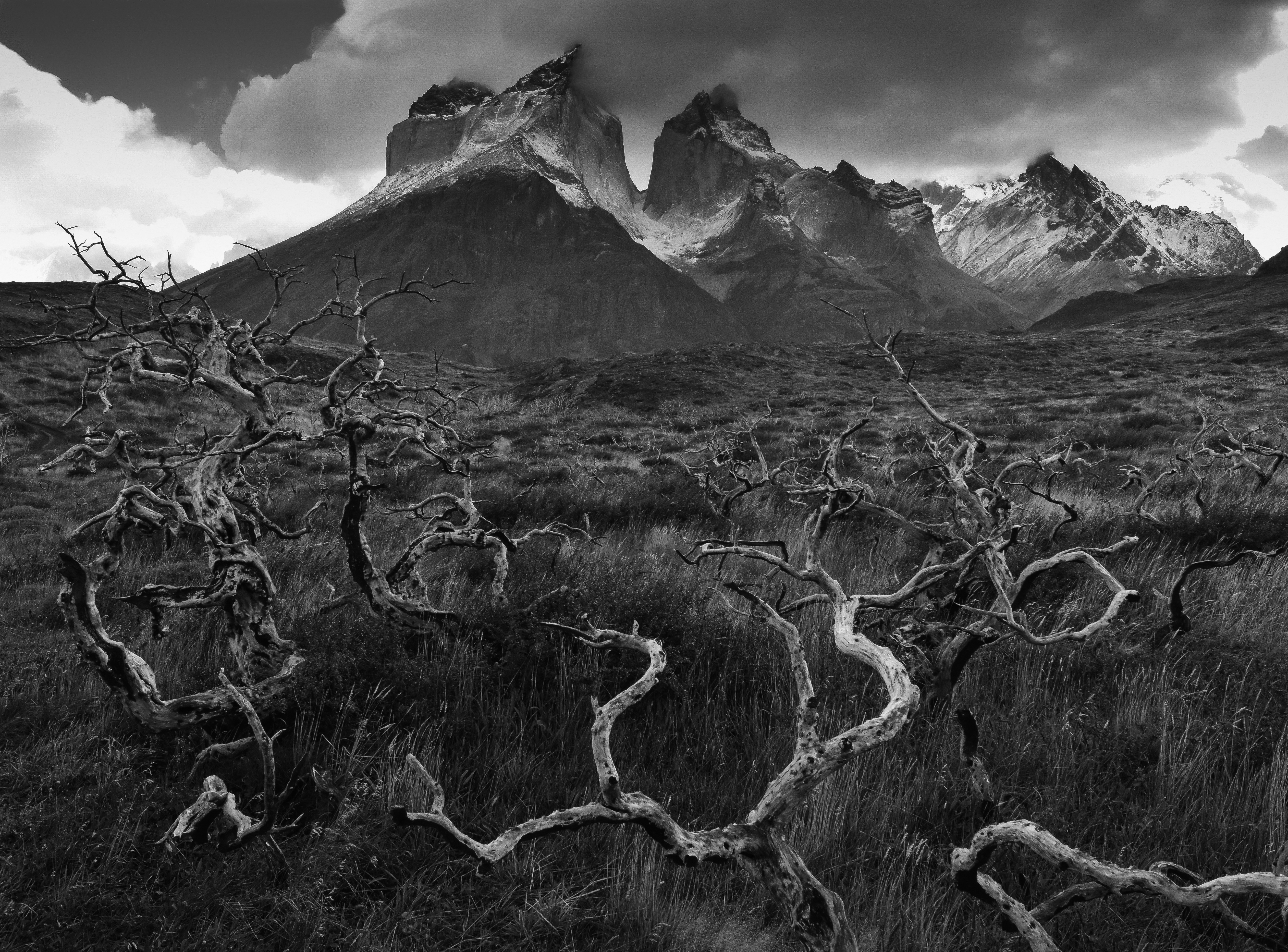 grayscale photo of mountain range