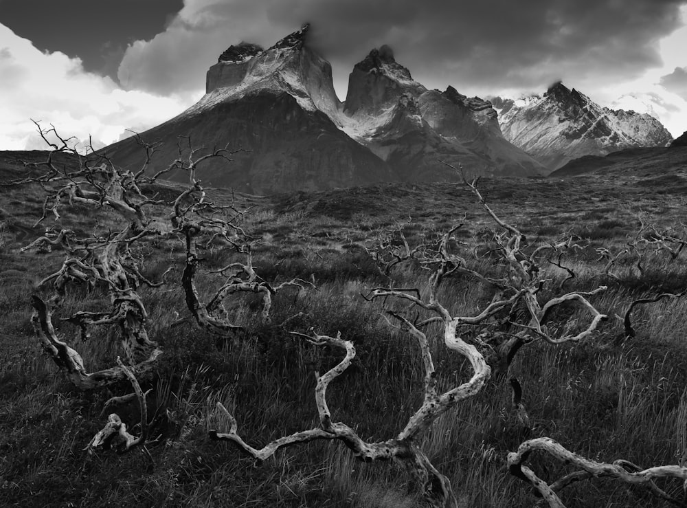 grayscale photo of mountain range