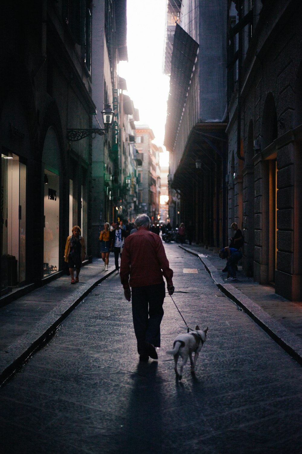 man in red jacket walking on sidewalk with white short coat small dog during daytime