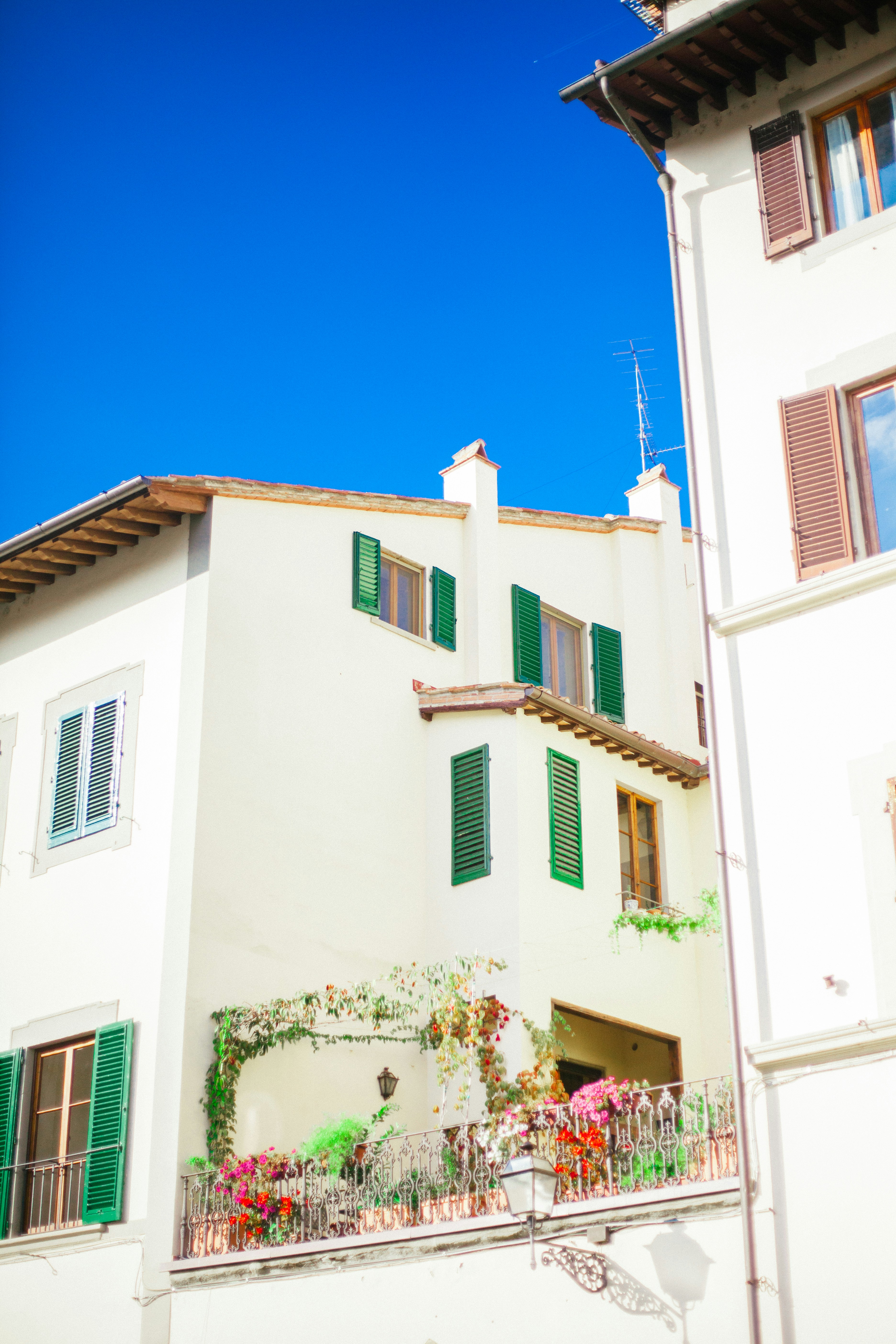 Photo by reallygoodjames