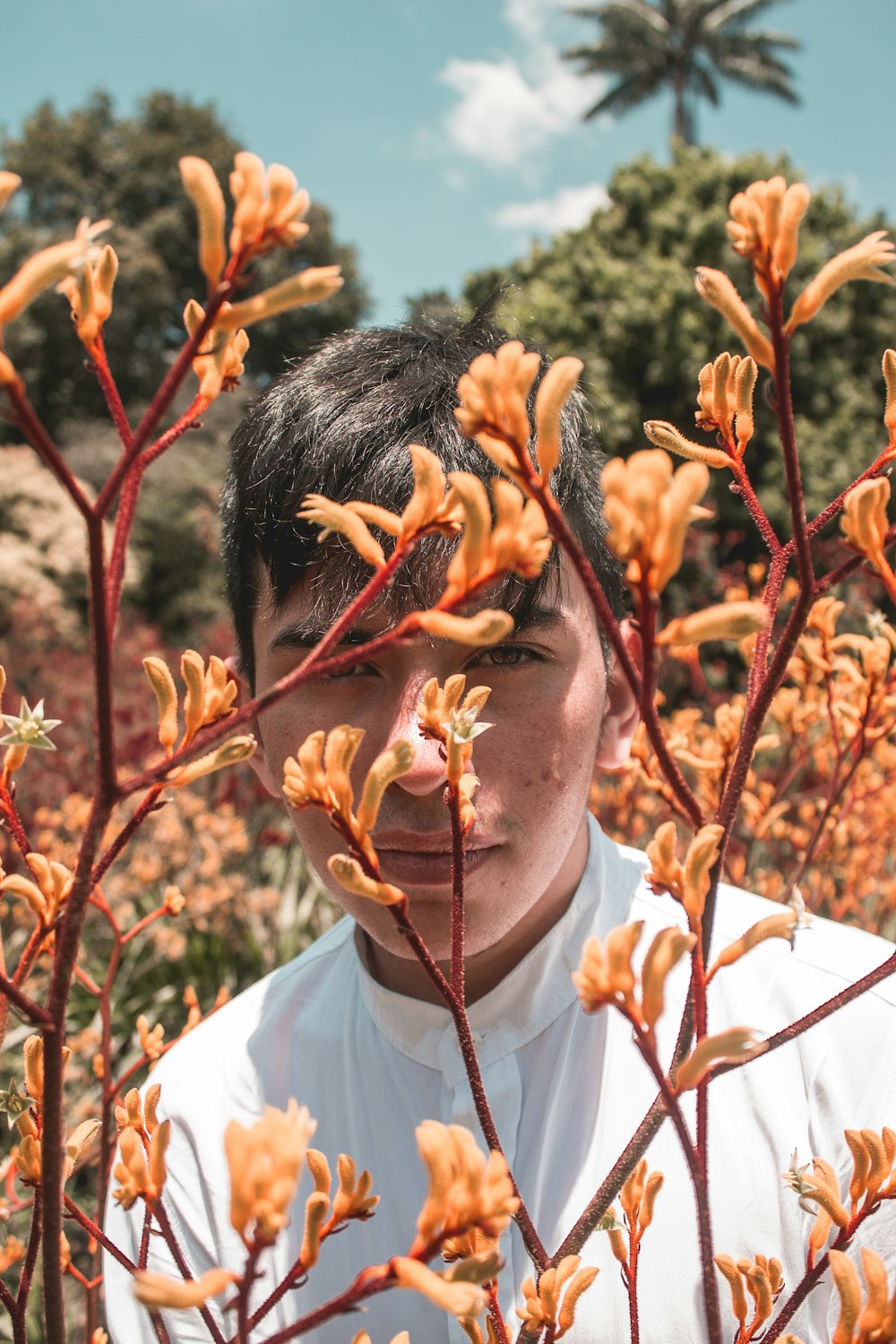 man in white shirt holding brown leaves during daytime