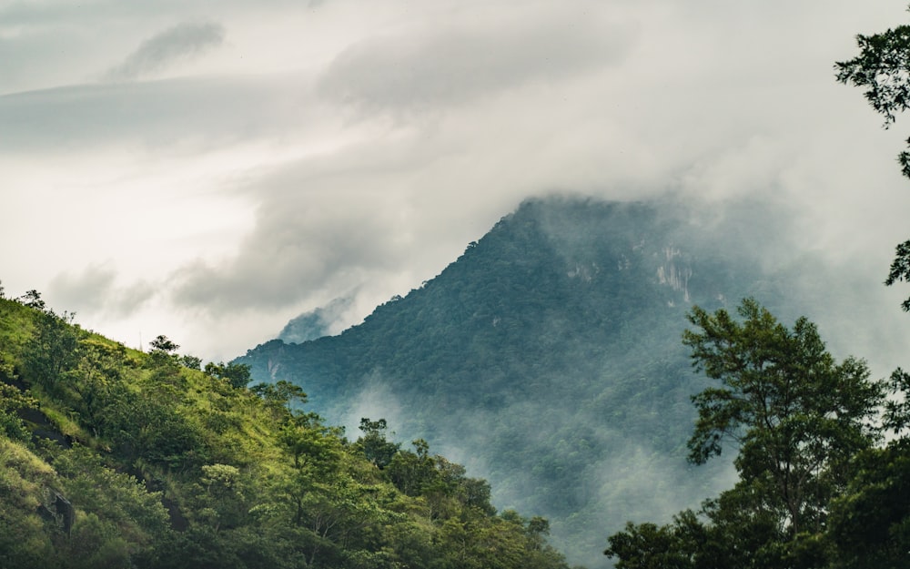 昼間の白い雲の下の山の緑の木々