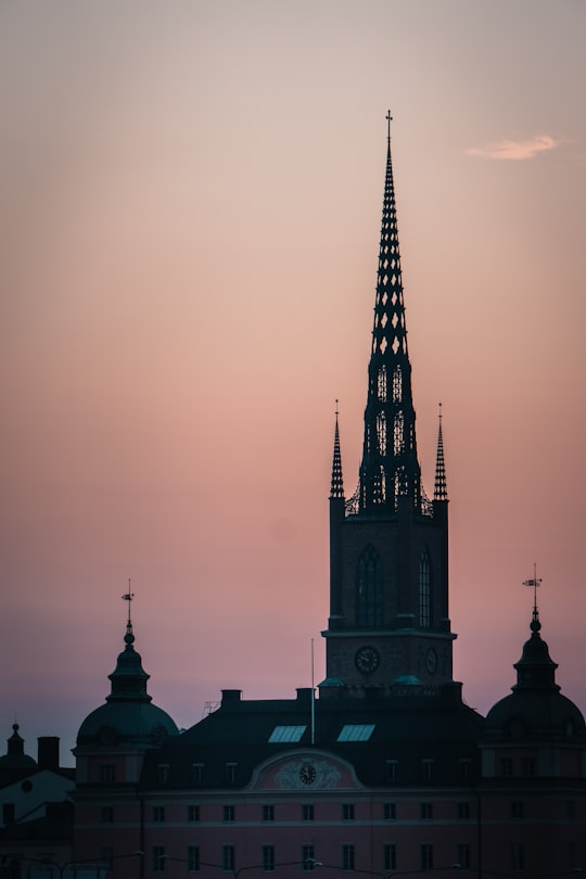 black and gray concrete building in Riddarholmen Church Sweden