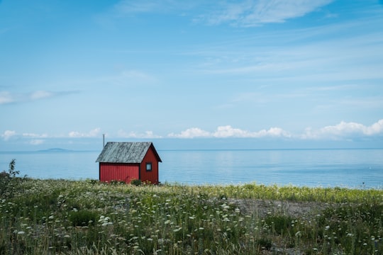 red wooden house near body of water during daytime in Byxelkrok Sweden