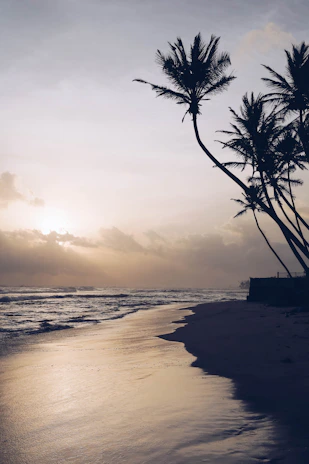 Golden sands and palm trees framing a tranquil beach in Goa at dawn, with gentle waves lapping the shore.