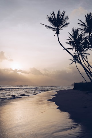 Sunset over a pristine Cuban beach with palm trees gently swaying.