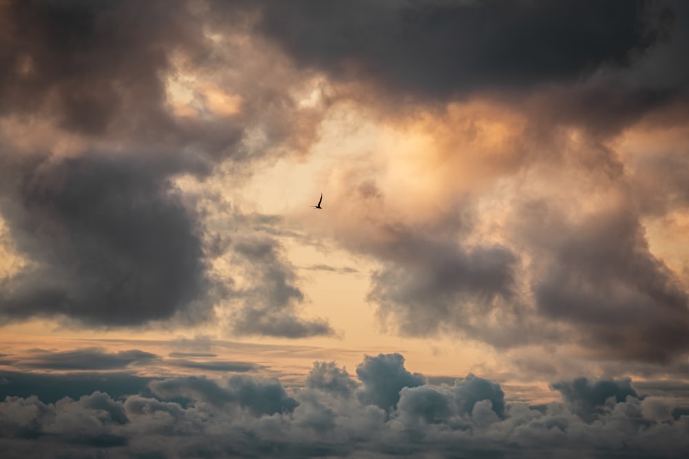 airplane flying over clouds during daytime