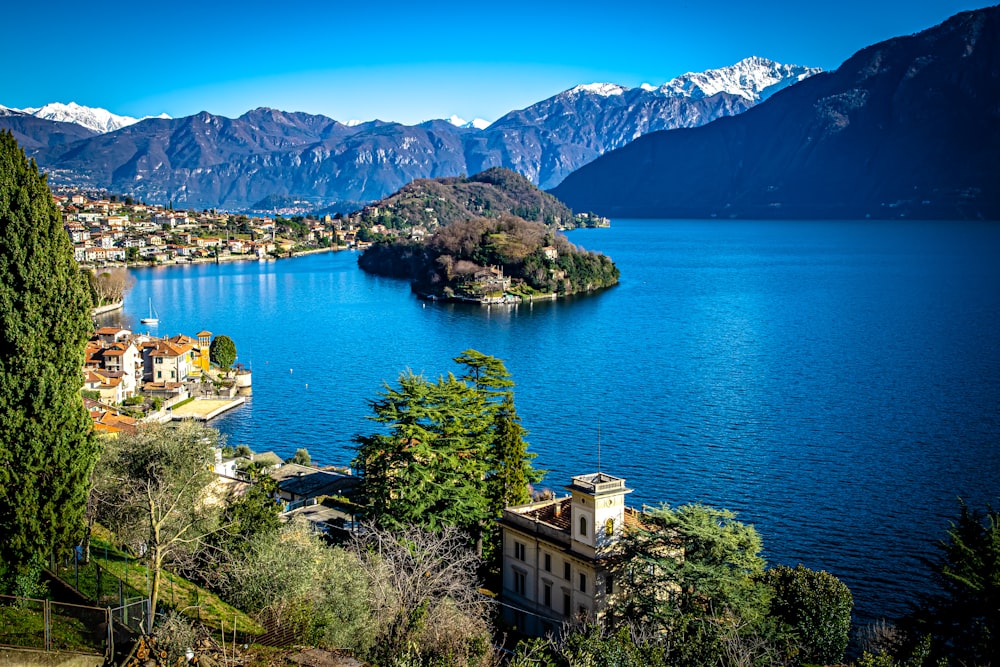 green trees near body of water and mountain during daytime