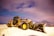 A heavy-duty snow grader stands on a snowy terrain under a colorful sky. The machinery is designed for moving snow and is prominently yellow with black and silver detailing. The background features snow-covered mountains and a sky displaying hues of pink, purple, and blue, possibly indicating sunrise or sunset.