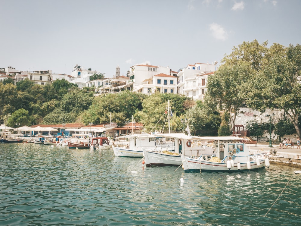 white and blue boat on body of water during daytime