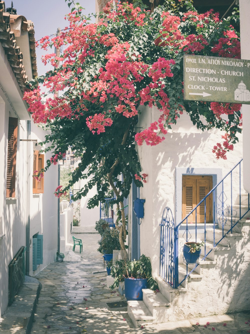 árbol de hojas rojas y verdes en edificio de hormigón blanco