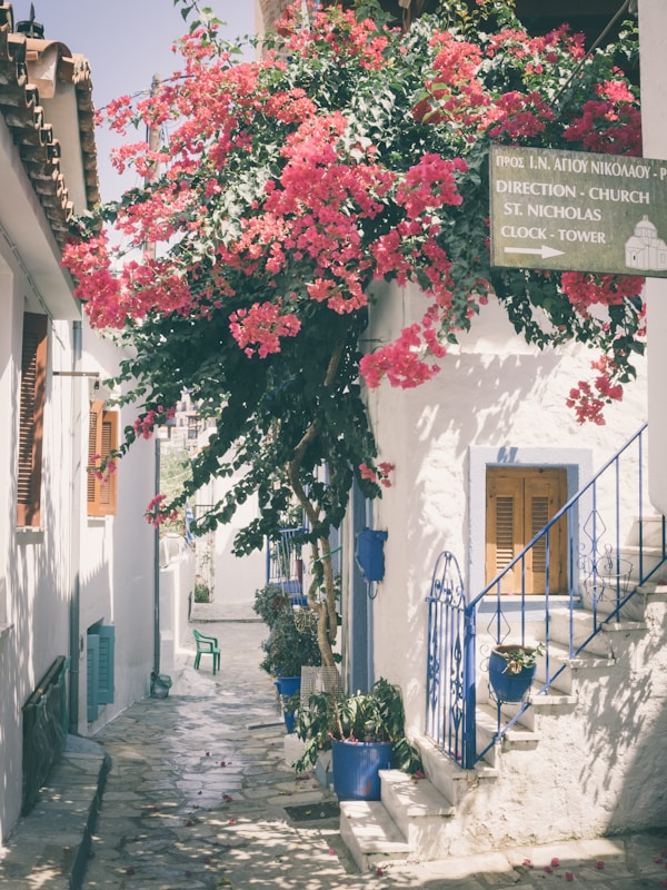 Exploring Skiathos: Local Cuisine and Traditional Recipes