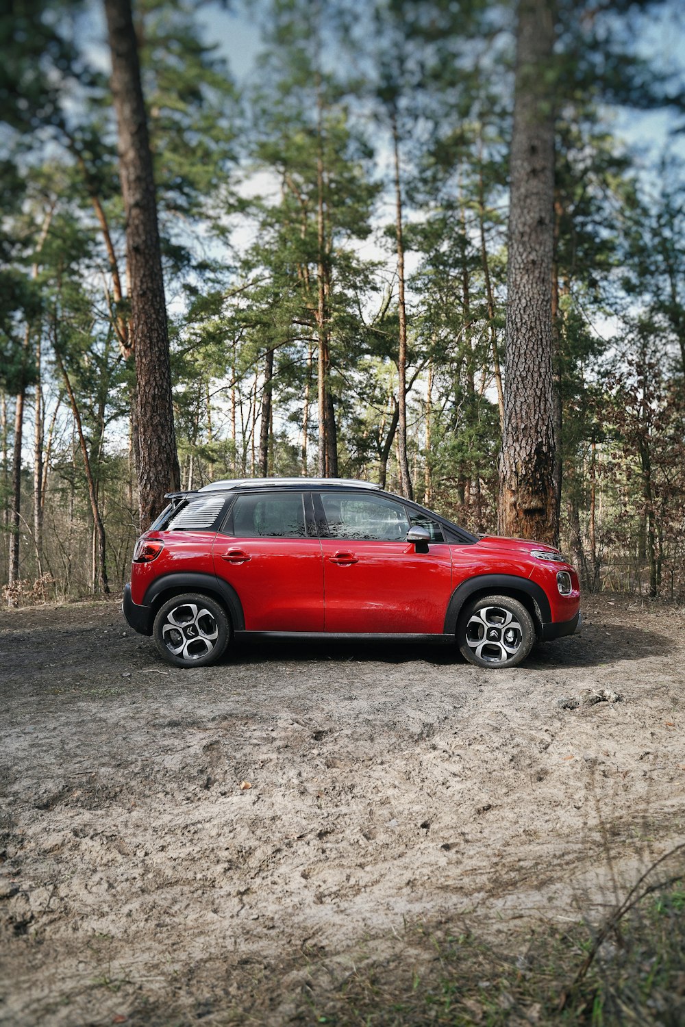 Rotes Auto tagsüber auf unbefestigter Straße im Wald geparkt