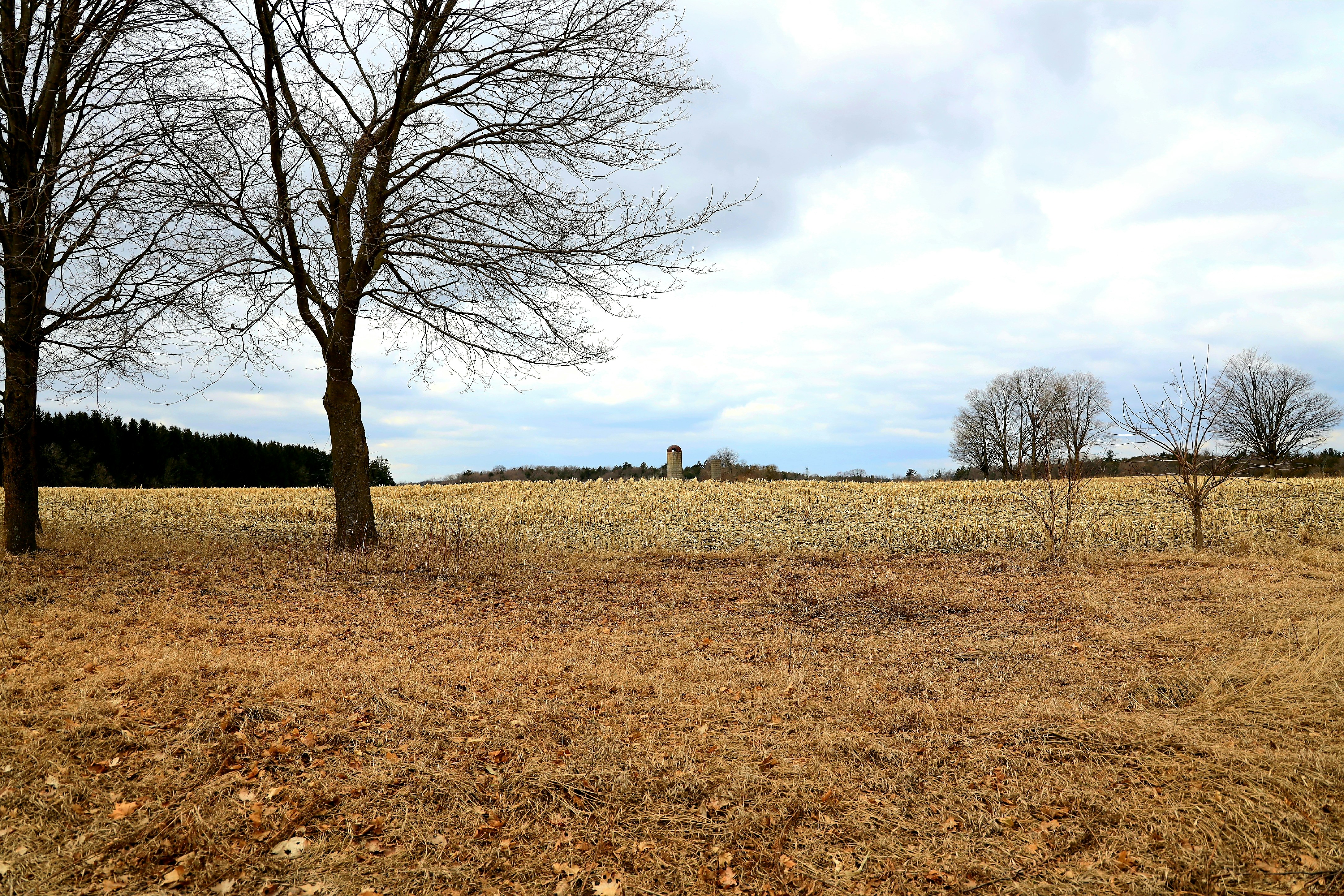 Photo by richardworks