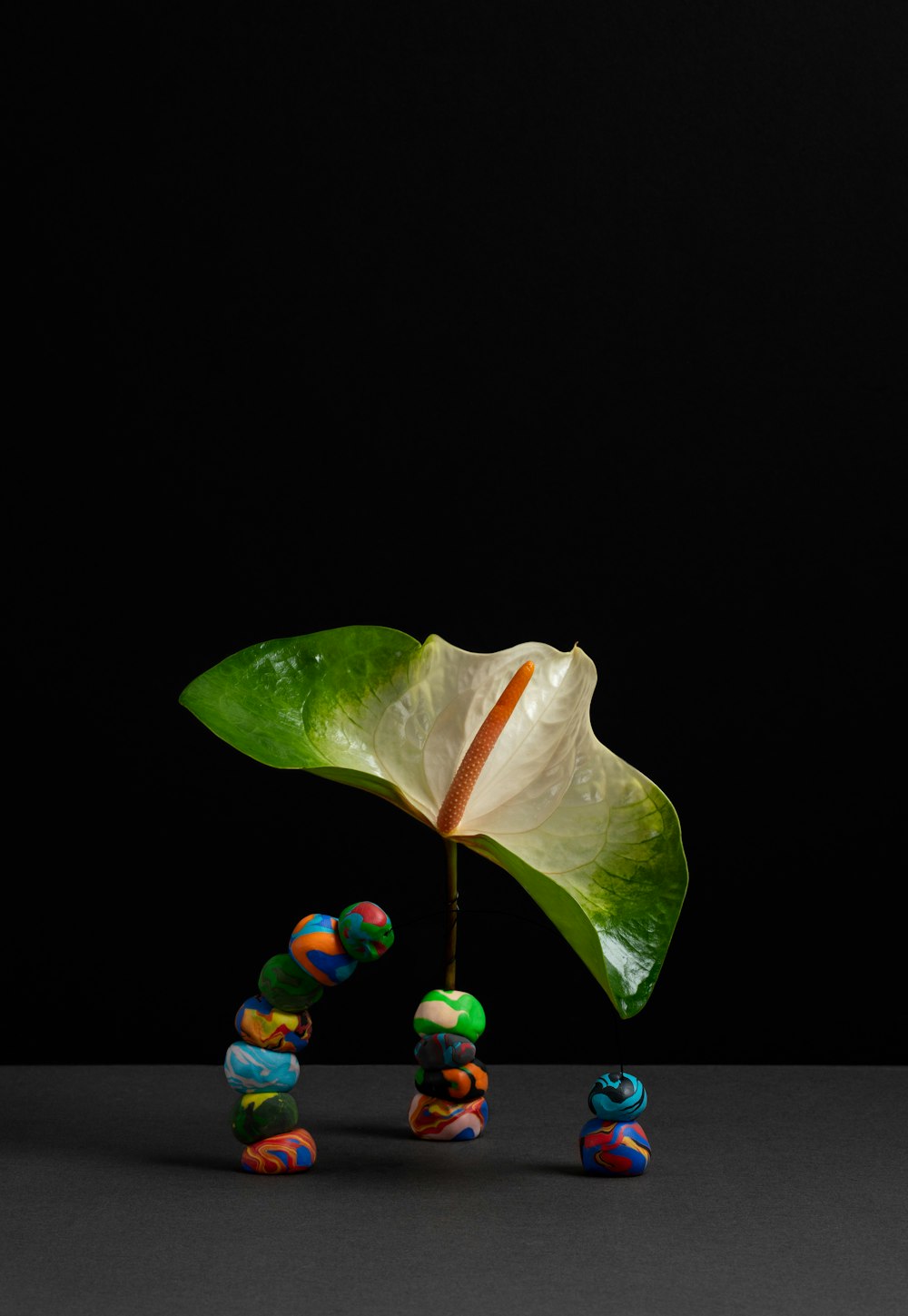 green and yellow leaf with black background