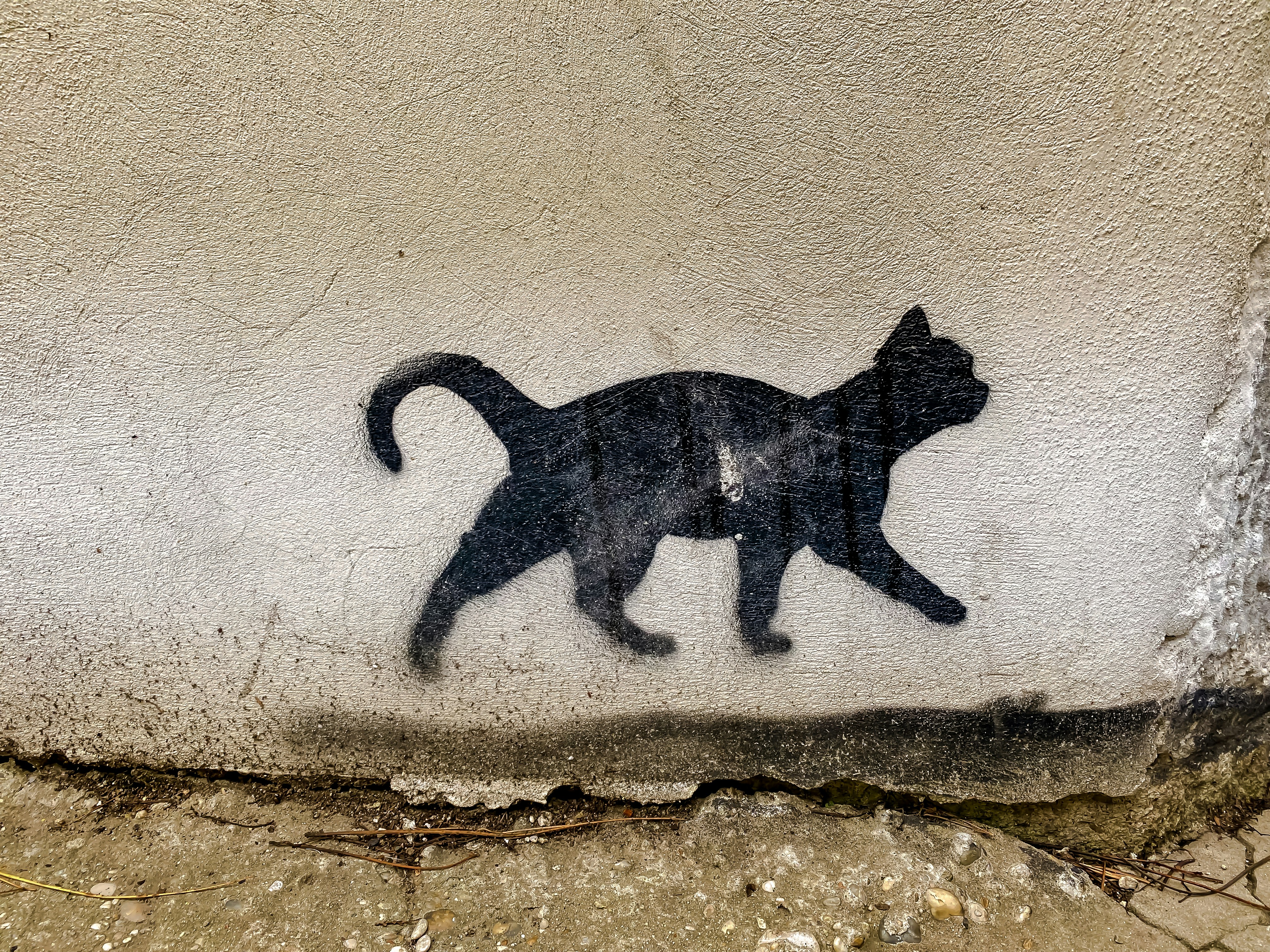 Black cat wall art on brown concrete wall photo Free Słowacja Image