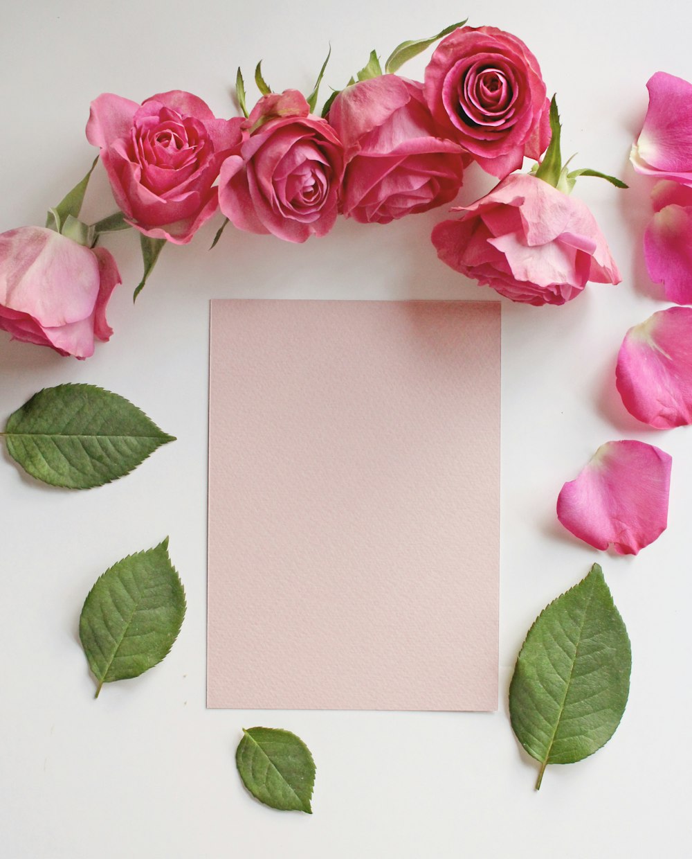 pink roses beside white paper