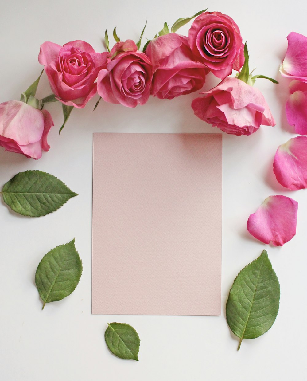 白い紙の横にピンクのバラ