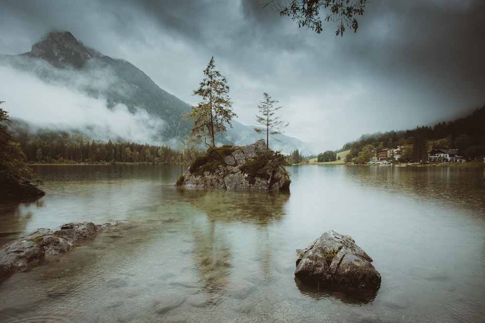 green trees near lake under cloudy sky during daytime