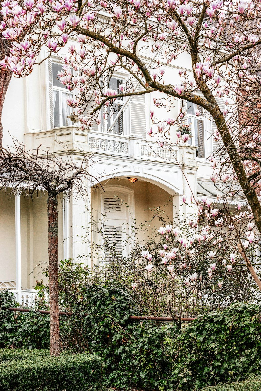 white concrete building with red and white flowers