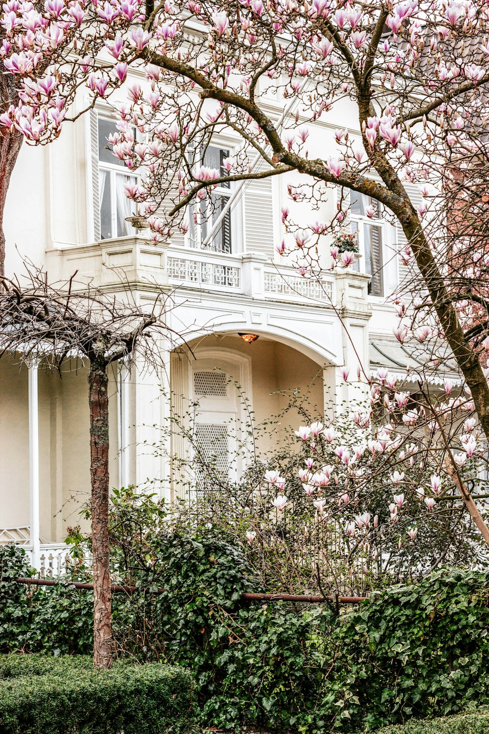 white concrete building with red and white flowers