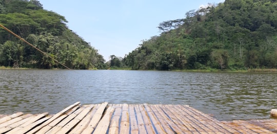 brown wooden dock near green trees during daytime in Pangantucan Philippines
