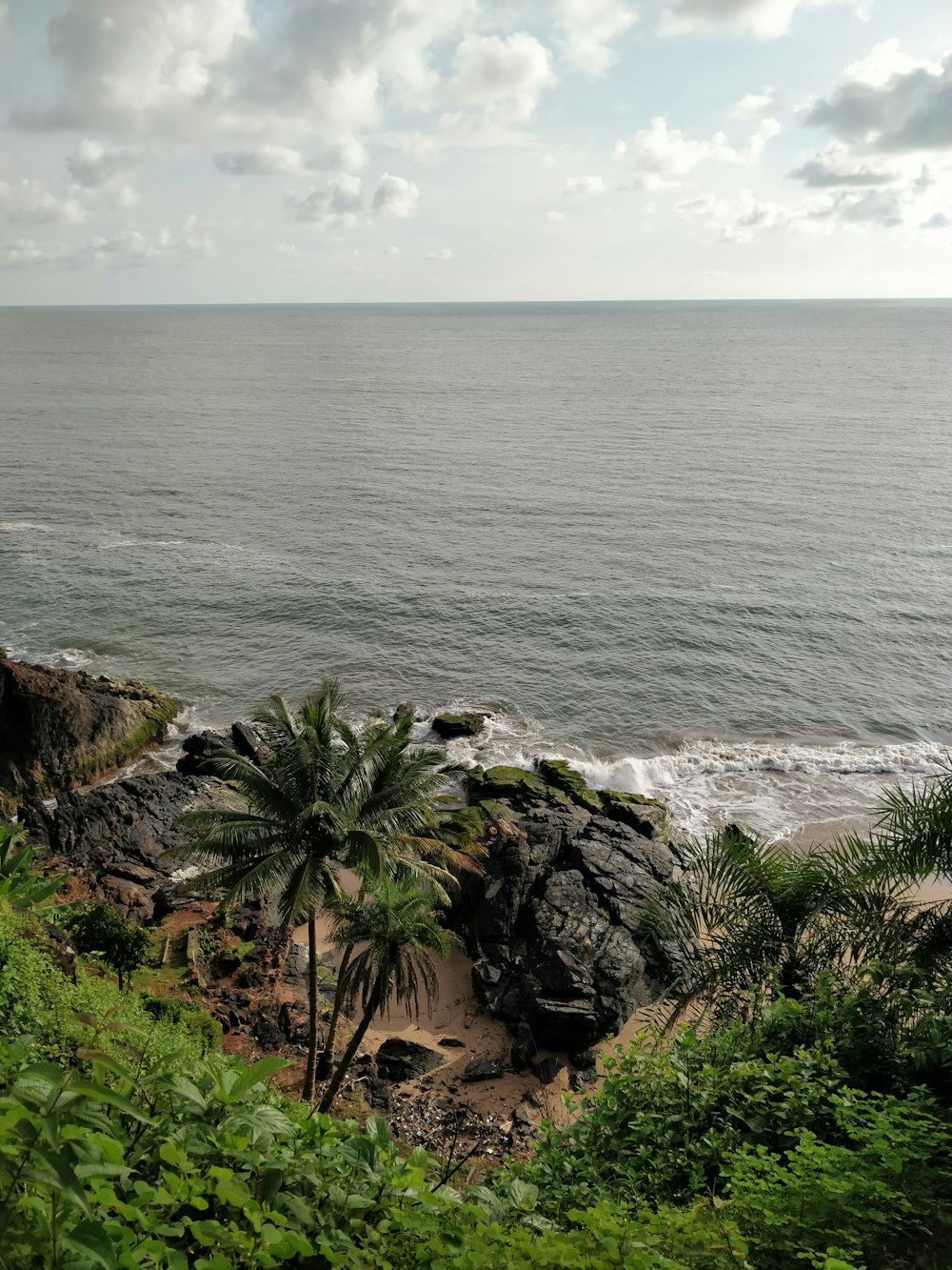 green grass on brown rocky shore during daytime