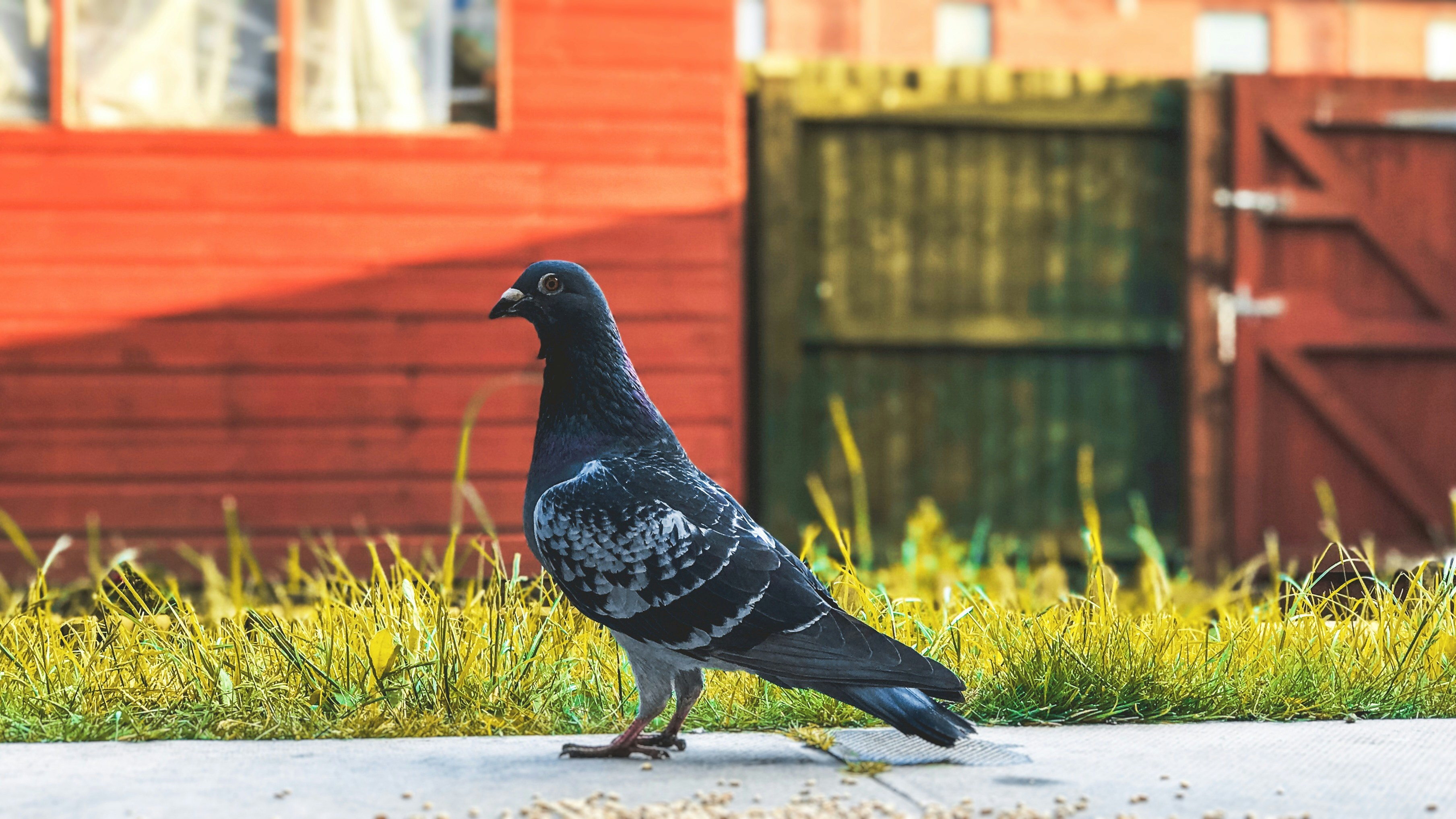 Photo by cxrbonvisuals