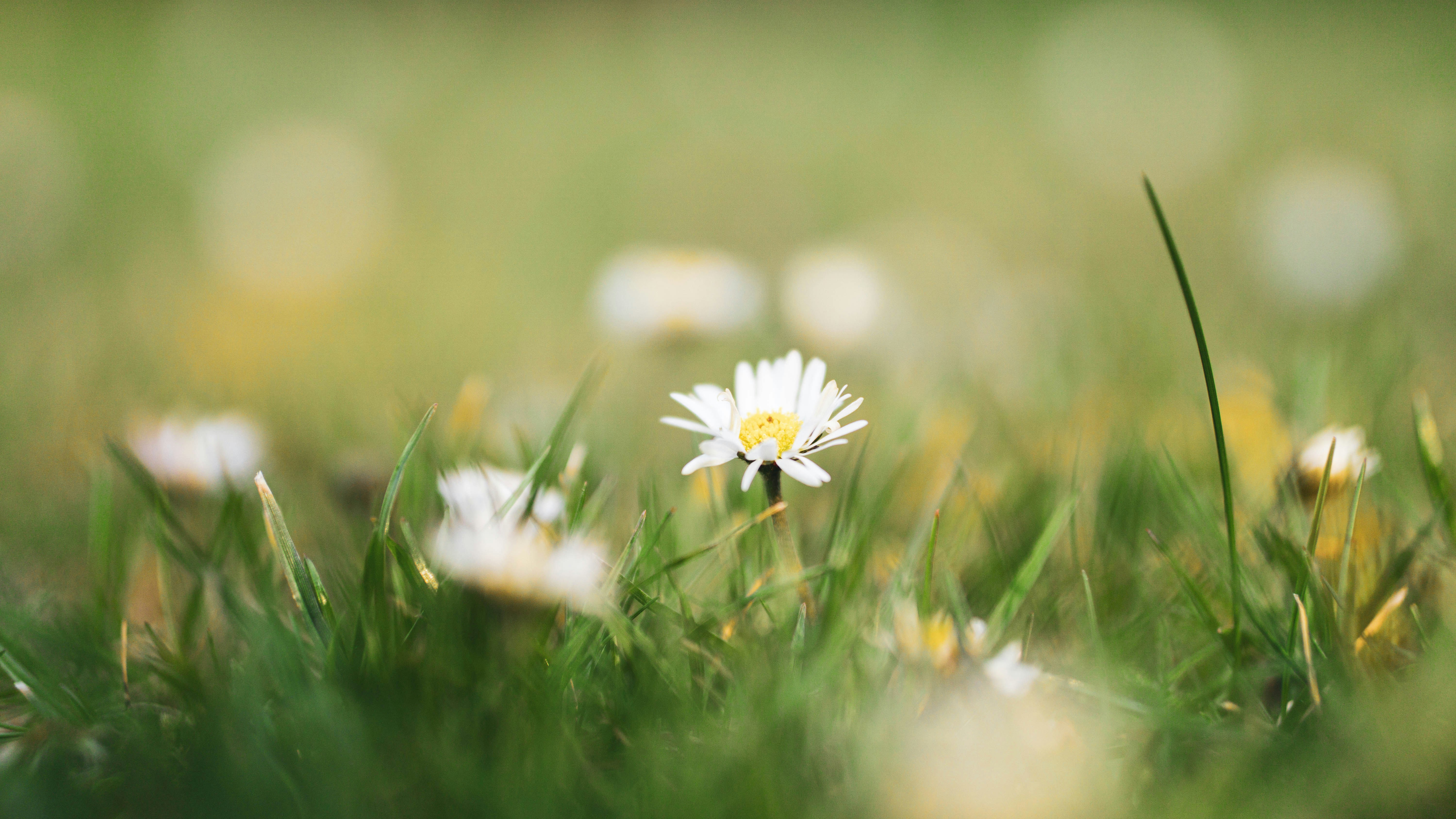 Photo by annadudkova