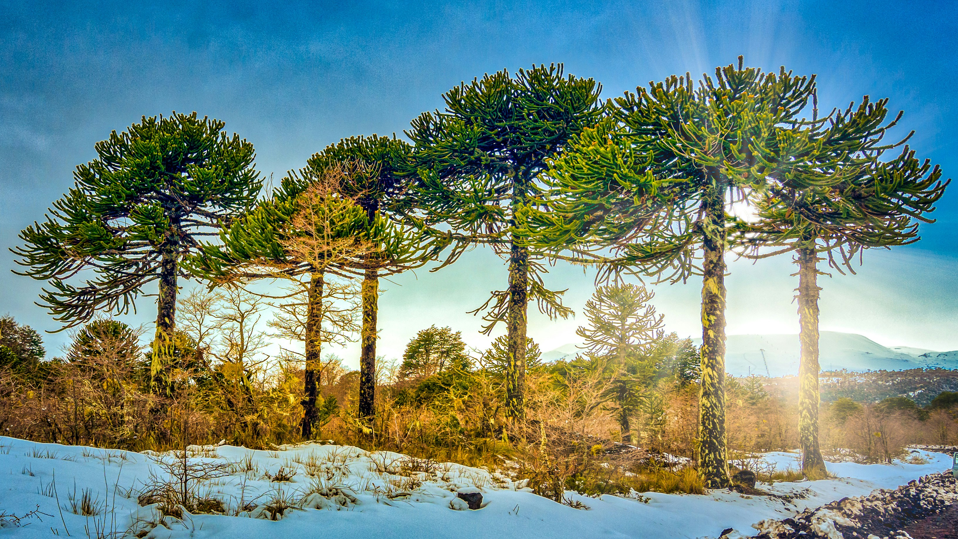 Photo by franz_nawrath