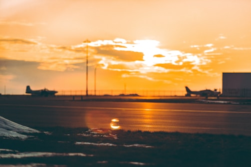 silhouette of bird flying over the sea during sunset