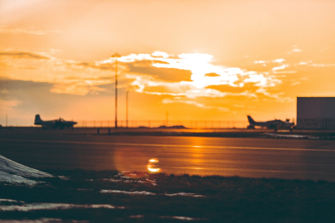 silhouette of bird flying over the sea during sunset, Airplane runway at sunset out of focus