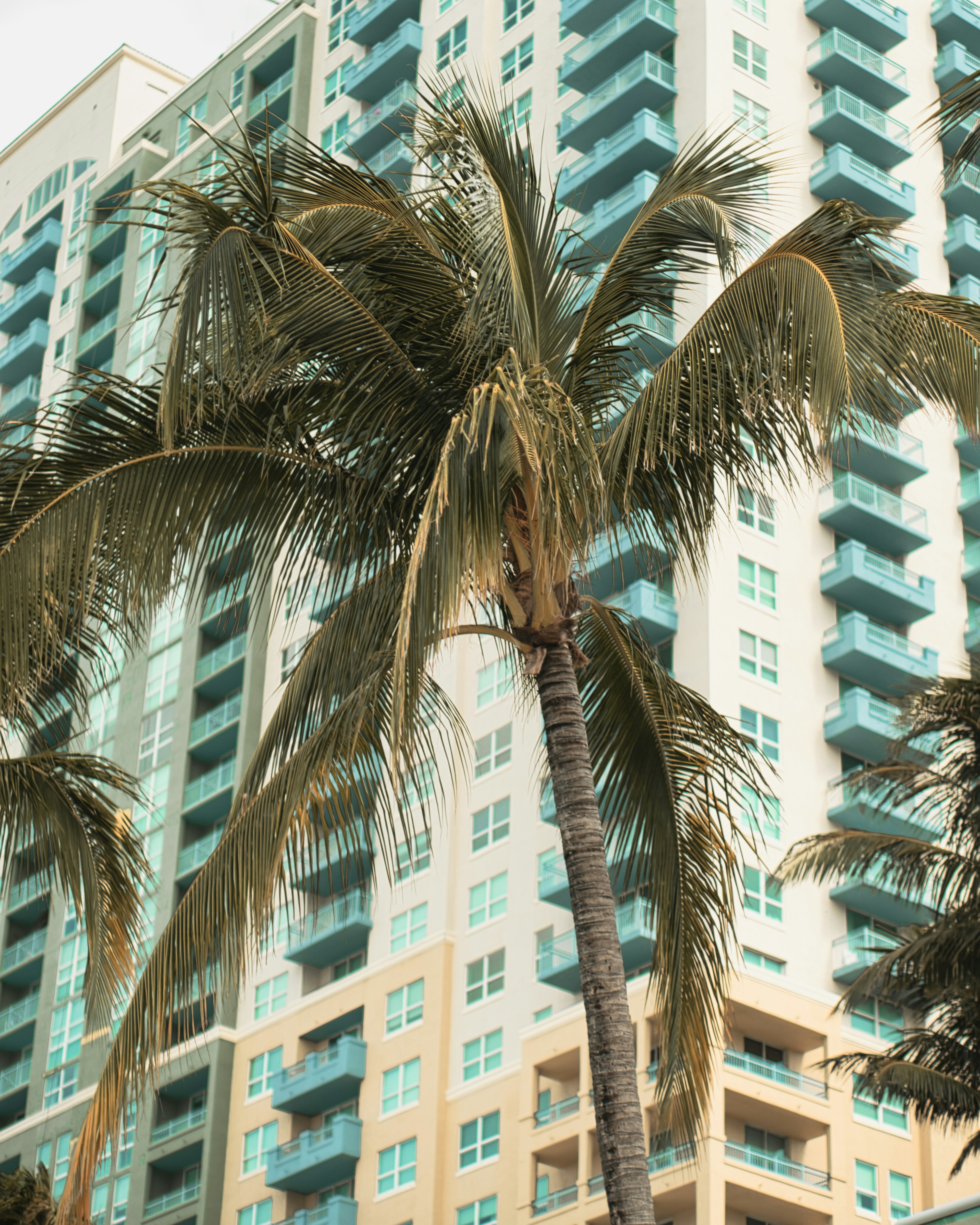 Photo by hrtsouldesign